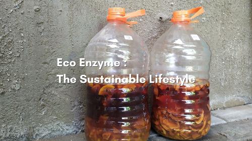 Eco Enzyme The  Sustainable Lifestyle